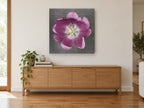 Open Plum Tulip floral canvas print on the wall of a living room above a sideboard
