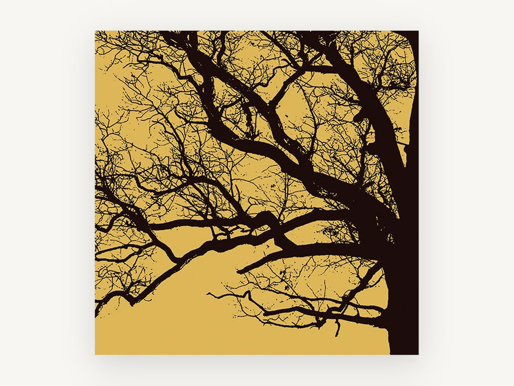 Amber Oak Silhouette, bare tree branches silhouette, landscape canvas wall art print, front view