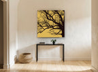 Amber Oak Silhouette landscape canvas print on the wall of a hallway