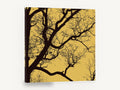 Ochre Branch Silhouette, bare tree branches silhouette, landscape canvas wall art print ready to hang