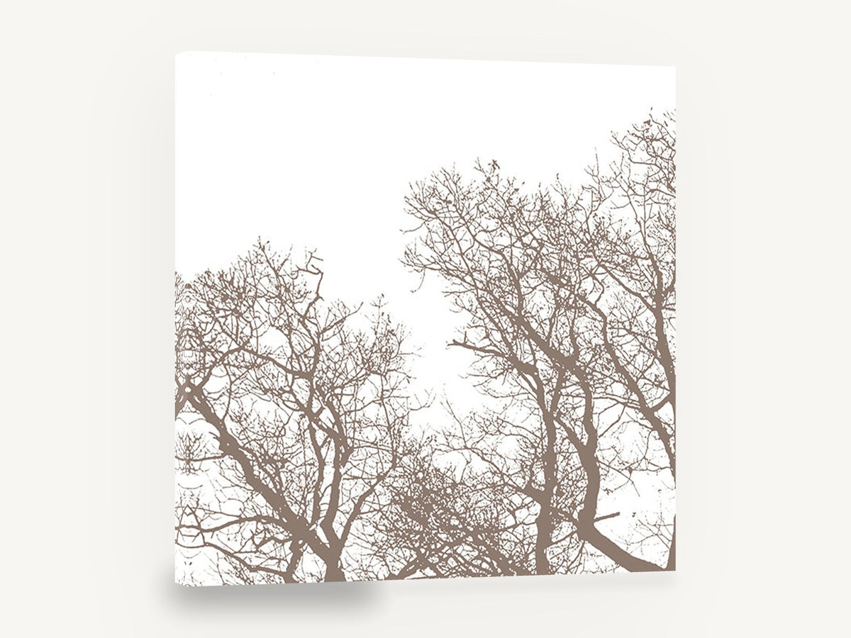 Bare Branch Canopy, bare tree branches silhouette, landscape canvas wall art print ready to hang