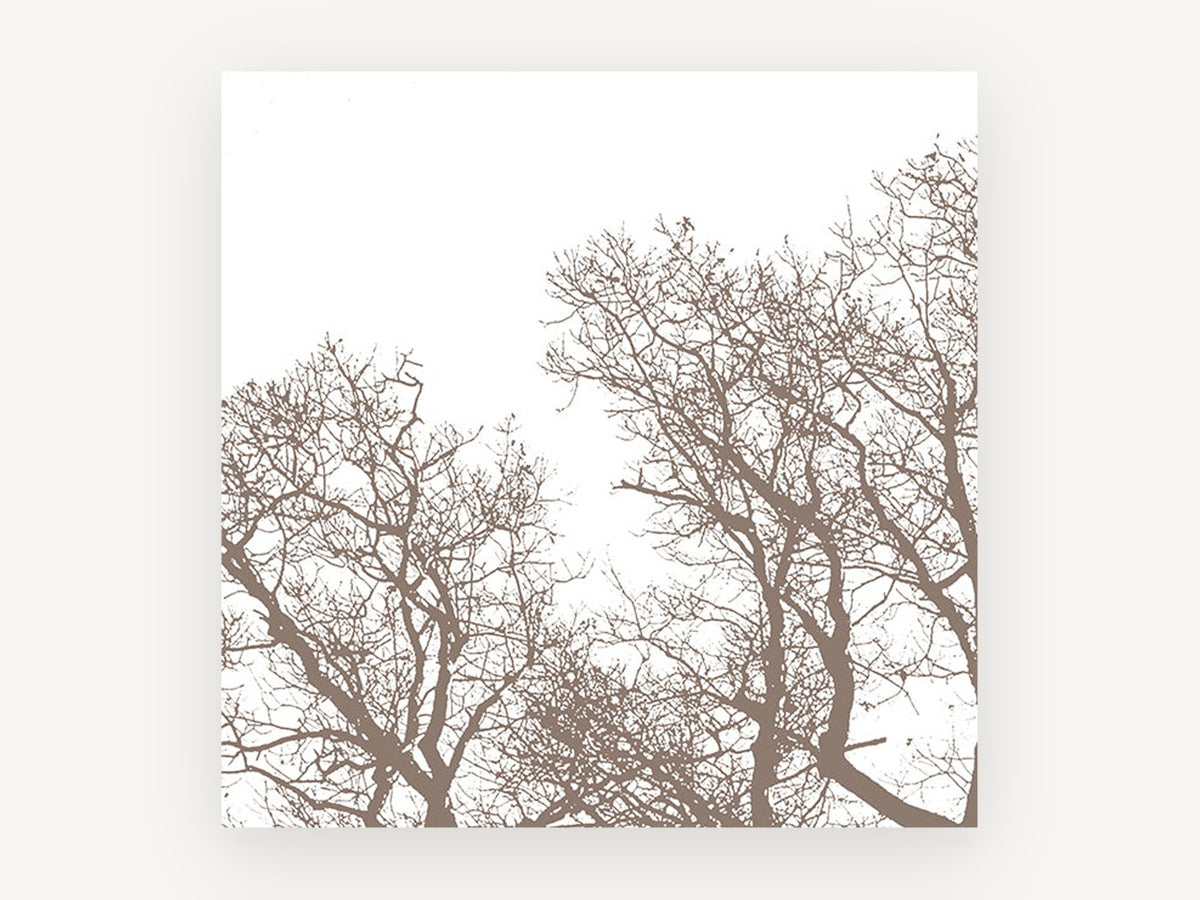 Bare Branch Canopy, bare tree branches silhouette, landscape canvas wall art print, front view