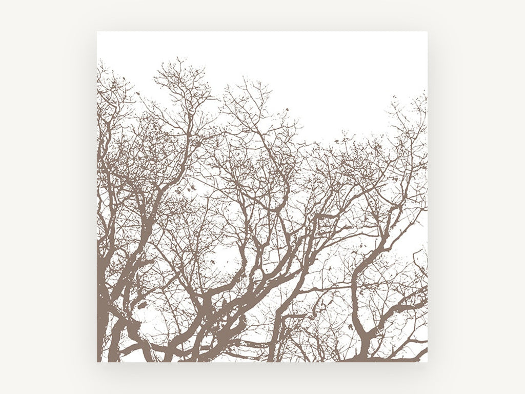 Bare Branch Canopy, bare tree branches silhouette, landscape canvas wall art print, front view