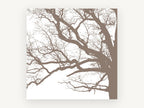 Taupe Oak Branch Tracery, bare tree branch silhouette, landscape canvas wall art print, front view