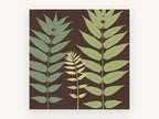 Three Fronds on Chocolate, floral canvas wall art print, front view