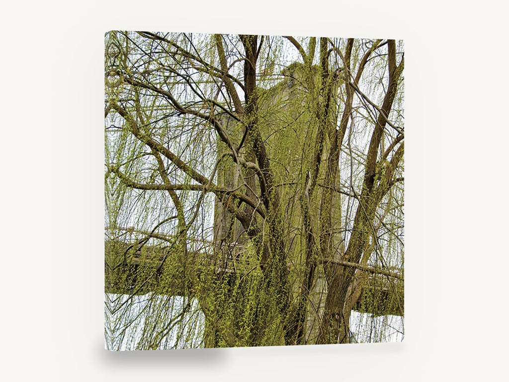 Willow Veil Bridge, brooklyn bridge through weeping willow photograph, city canvas wall art print ready to hang