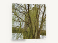 Willow Veil Bridge, brooklyn bridge through weeping willow photograph, city canvas wall art print ready to hang