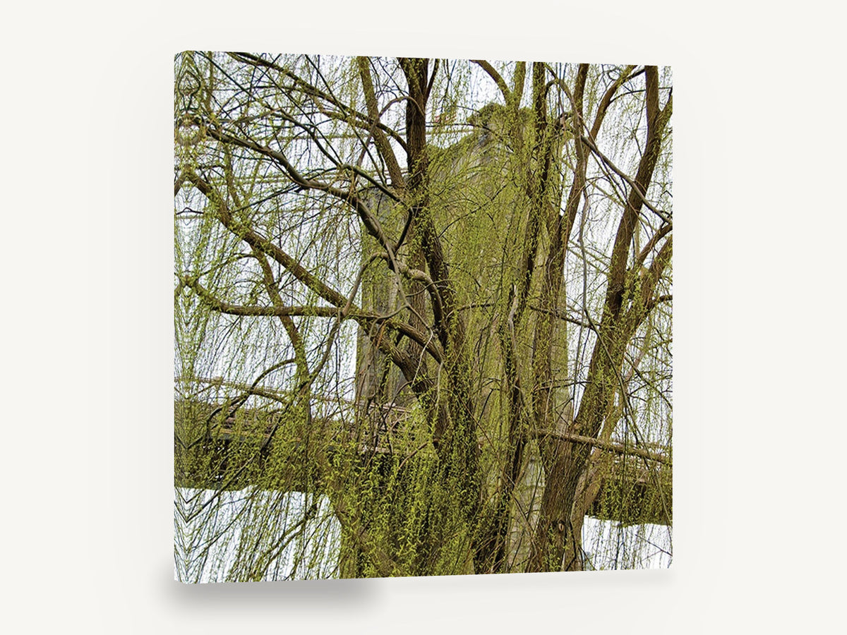 Willow Veil Bridge, brooklyn bridge through weeping willow photograph, city canvas wall art print ready to hang