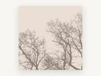 Bare Branch Canopy, bare tree silhouette beige, landscape canvas wall art print, front view