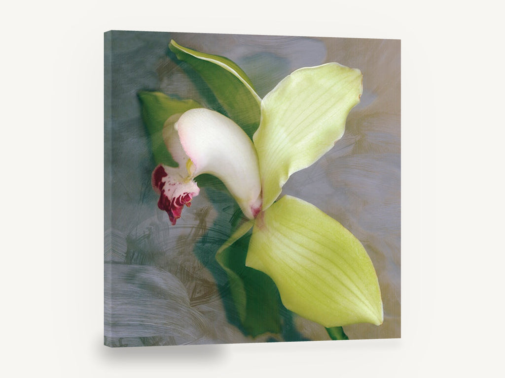 Green Cymbidium Orchid, green cymbidium orchid floral photograph, floral canvas wall art print ready to hang