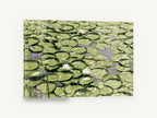 Lily Pad Pond, green lily pads pond photograph, landscape canvas wall art print ready to hang