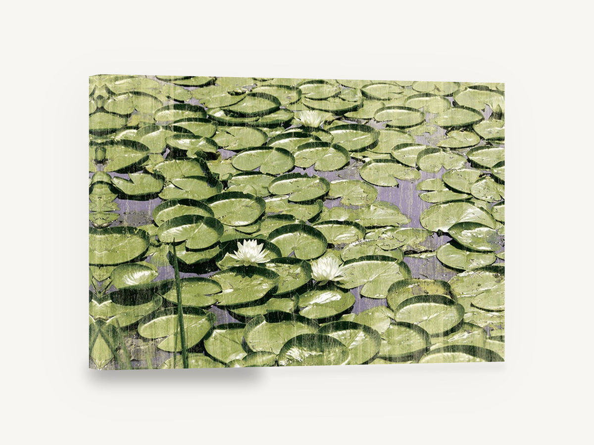 Lily Pad Pond, green lily pads pond photograph, landscape canvas wall art print ready to hang
