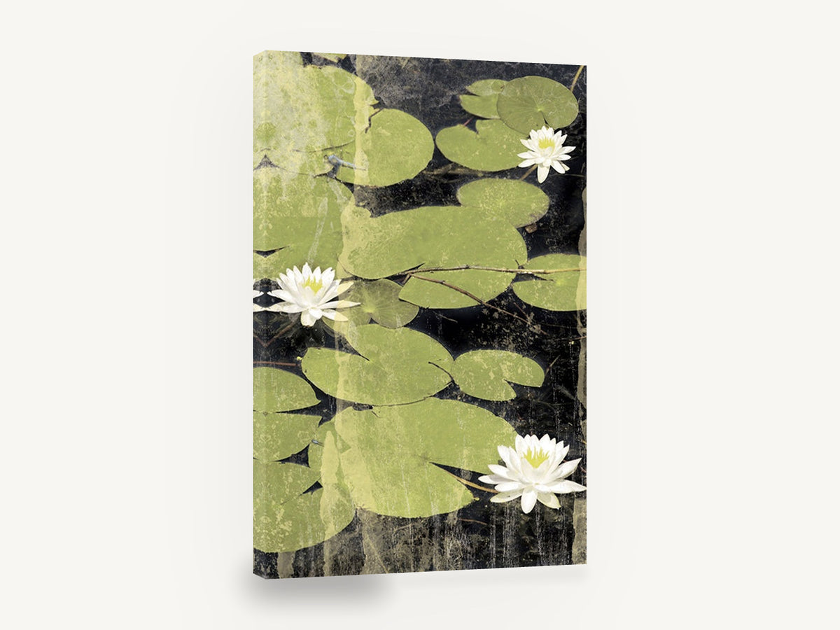 Lily Pond Blossoms, white water lily pond, landscape canvas wall art print ready to hang