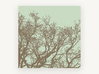 Sage Sky Tangle, bare tree branches silhouette, landscape canvas wall art print, front view