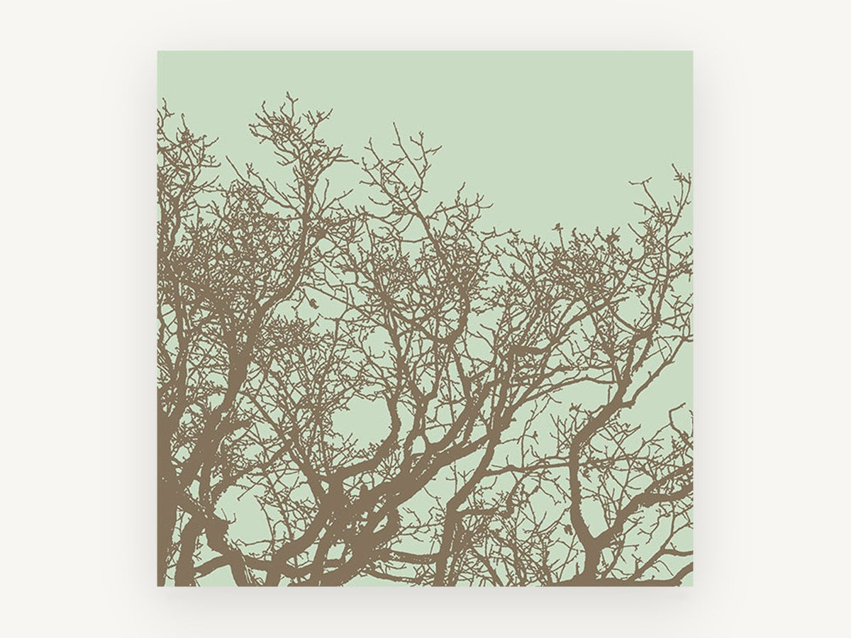 Sage Sky Tangle, bare tree branches silhouette, landscape canvas wall art print, front view