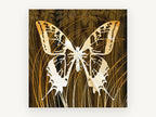 Butterfly on Timber Grain, floral canvas wall art print, front view