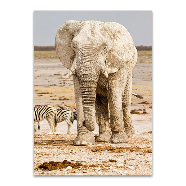 Elephant in Africa Wall Art Print