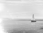 Evening Sail Wall Art Print
