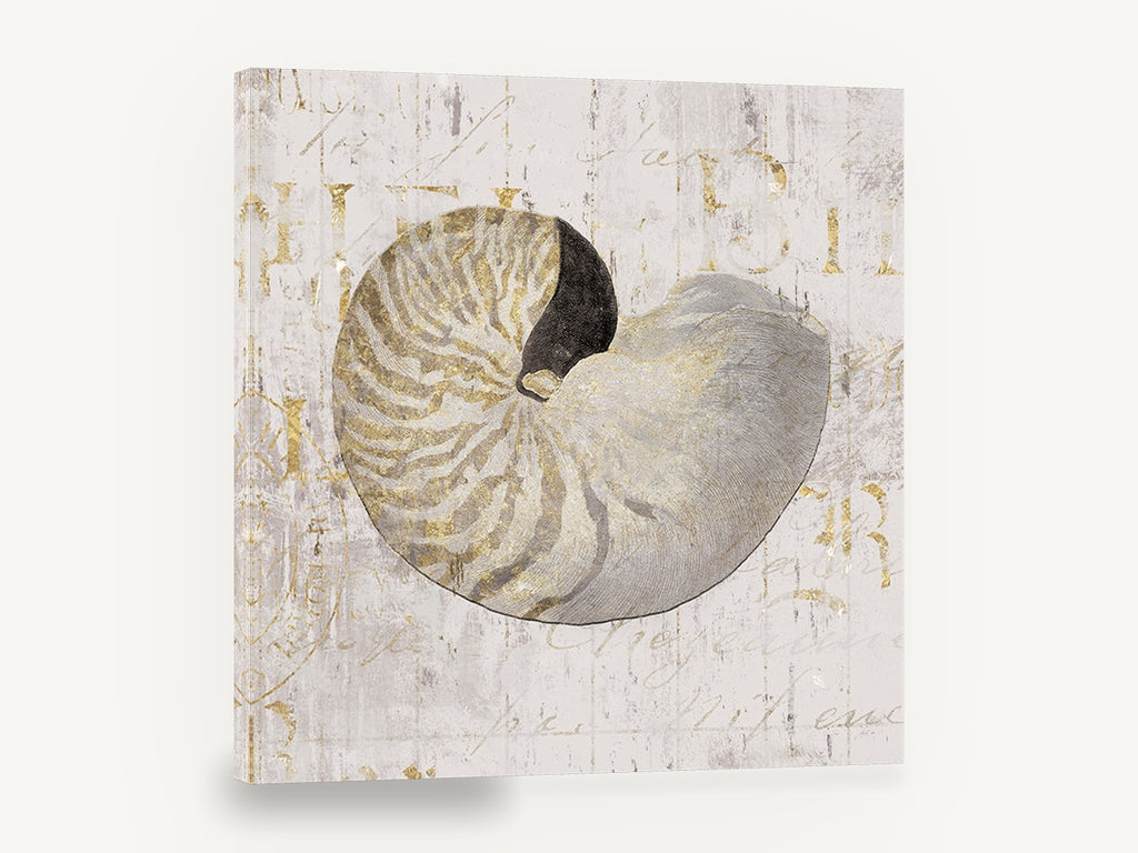 Gilded Nautilus Study, vintage gold nautilus shell, stretched canvas wall art print ready to hang