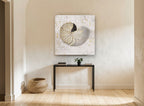 Gilded Nautilus Study vintage canvas print on the wall of a hallway