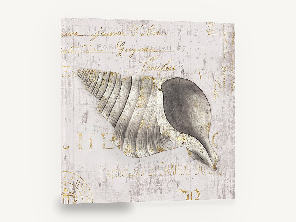 Gilded Whelk Shell, vintage gold seashell typography, stretched canvas wall art print ready to hang