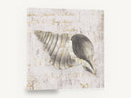 Gilded Whelk Shell, vintage gold seashell typography, stretched canvas wall art print ready to hang