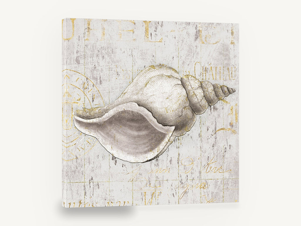 Gilded Whelk Shell, vintage gold seashell print on script, stretched canvas wall art print ready to hang