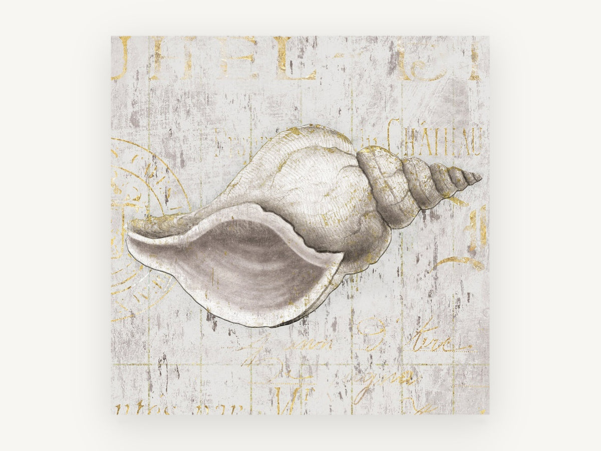 Gilded Whelk Shell, vintage canvas wall art print, front view