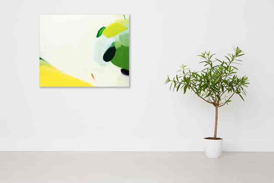 Kotaro Machiyama | Fain Day on the wall