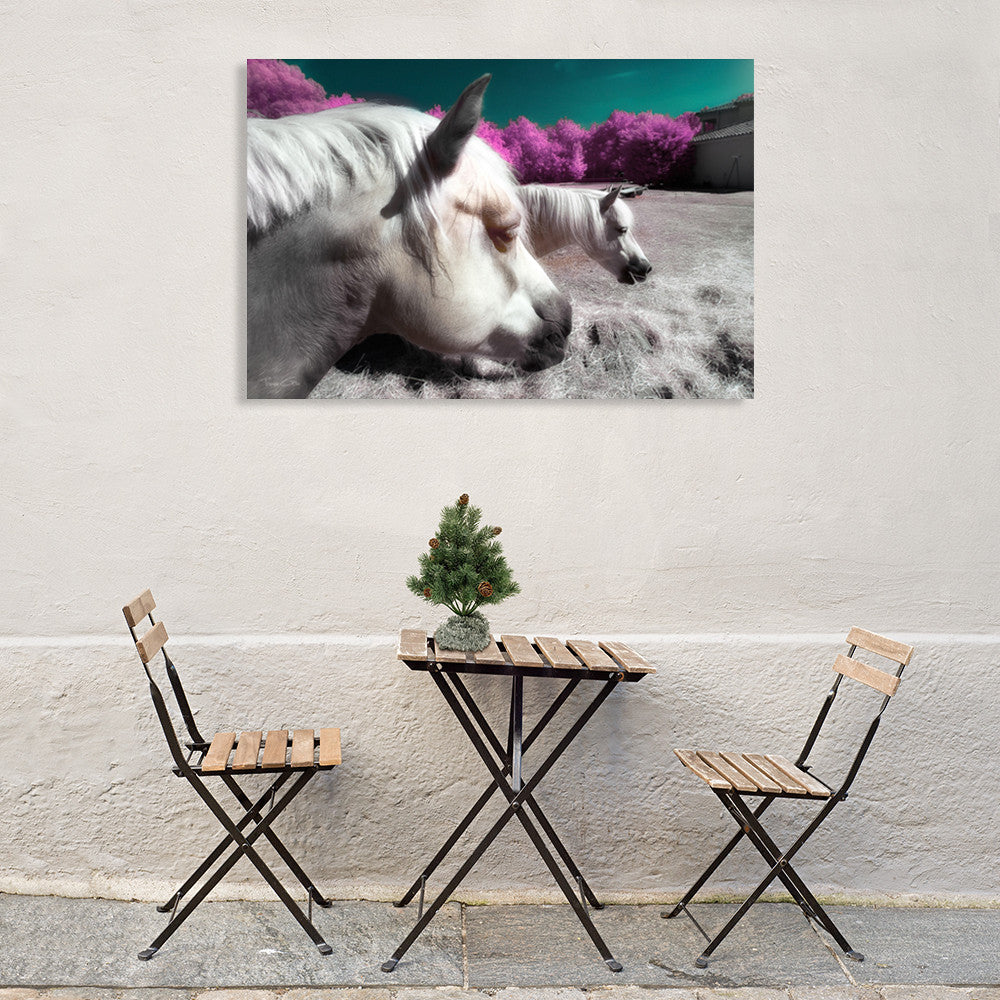 Fantasy Horses Wall Art Print on the wall