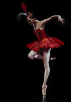 Flamingo Dancer Wall Art Print
