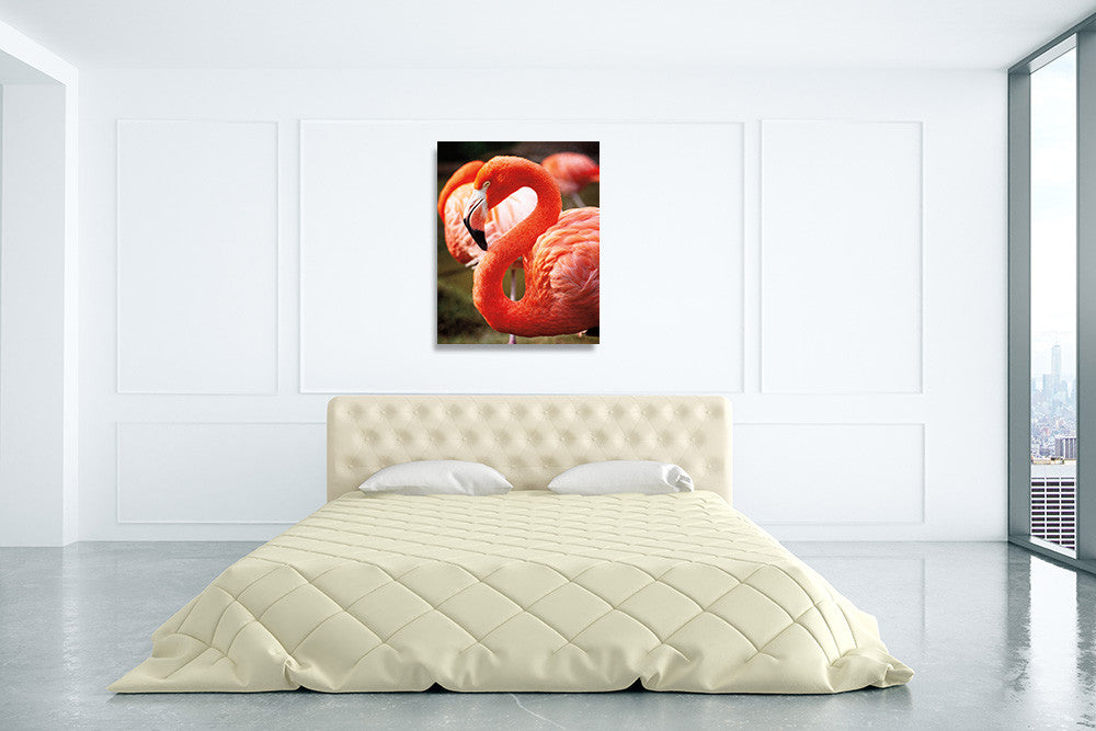 Flamingo III Wall Art Print on the wall