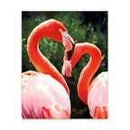 Flamingo II Wall Art Print