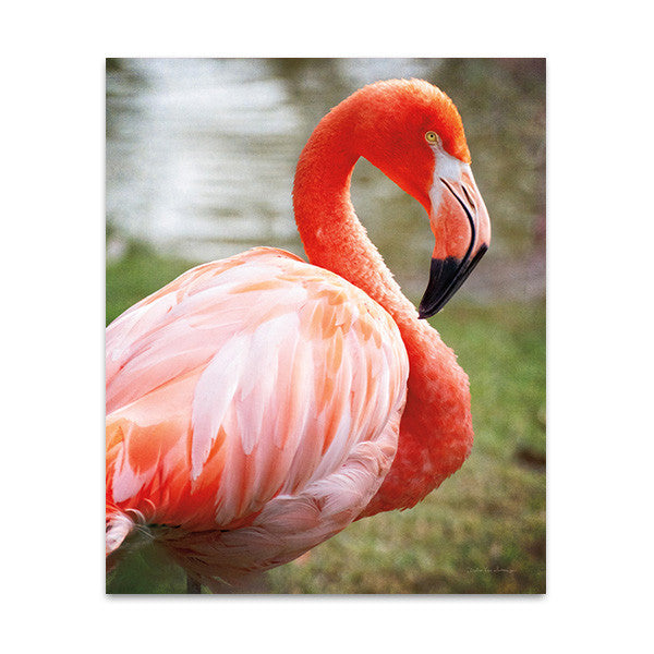 Flamingo I Wall Art Print 