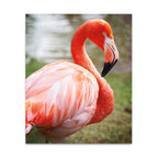 Flamingo I Wall Art Print 