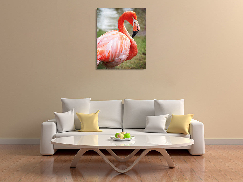 Flamingo I Wall Art Print on the wall
