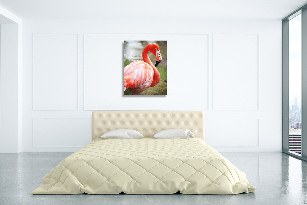 Flamingo I Wall Art Print on the wall