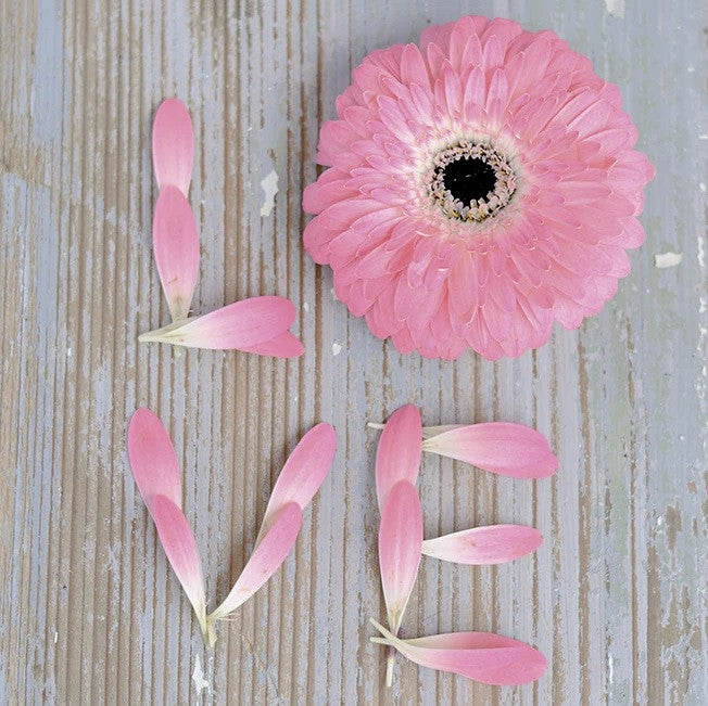 Flower of Love Wall Art Print