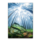 Forest Moss Grass Wall Art Print