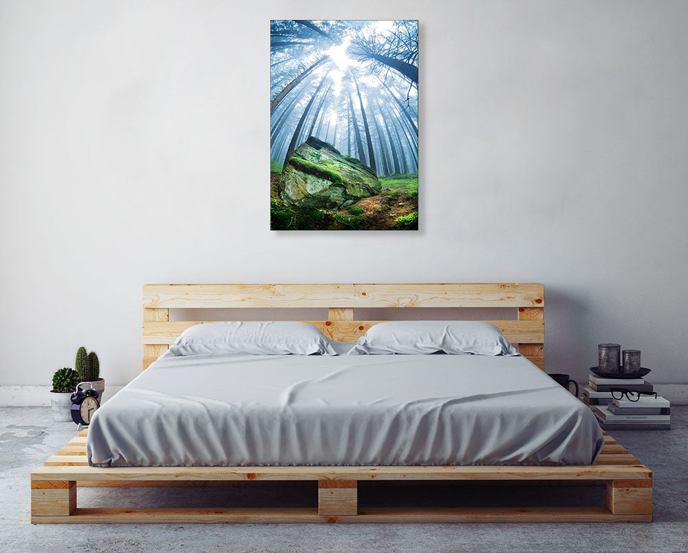 Forest Moss Grass Wall Art Print on the wall