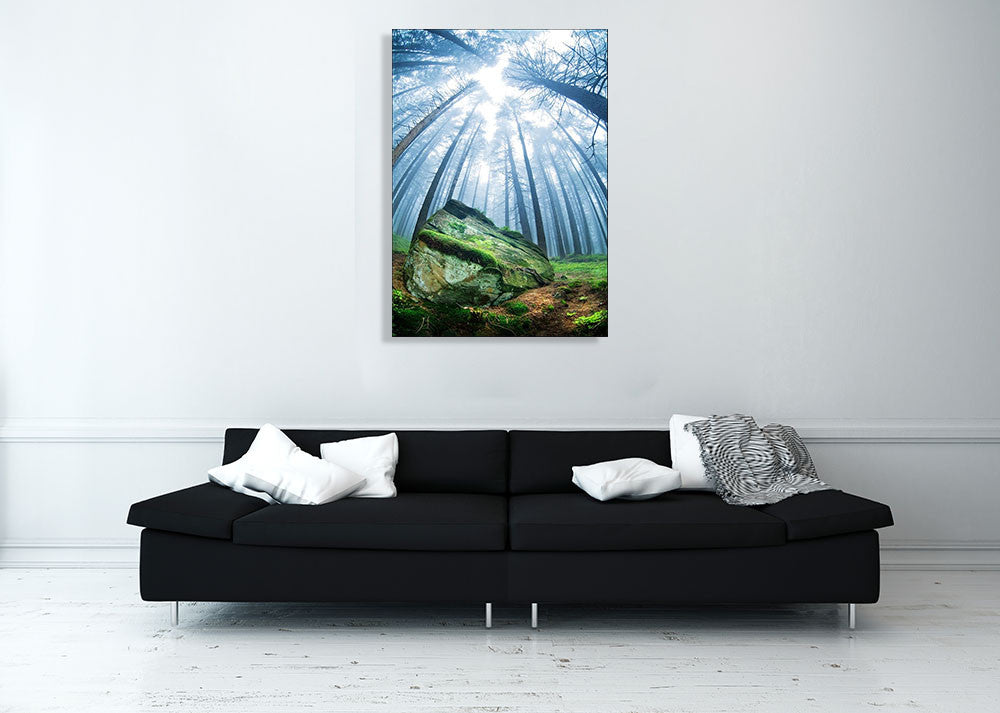 Forest Moss Grass Wall Art Print on the wall
