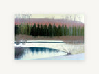 Winter Cedars Thaw, winter cedars pond landscape painting, landscape canvas wall art print, front view