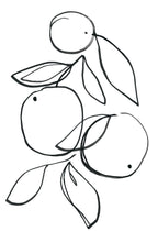 Fruit Contour Oranges Wall Art Print