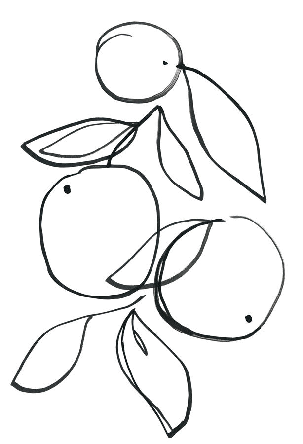 Fruit Contour Oranges Wall Art Print