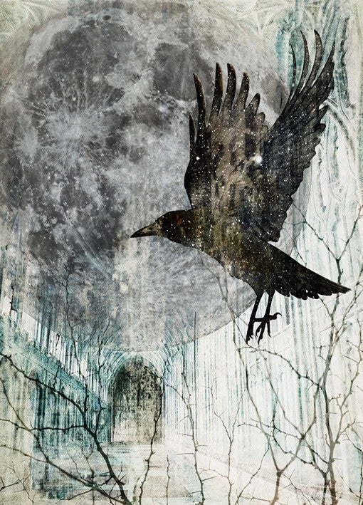 Full Moon Rising Wall Art Print