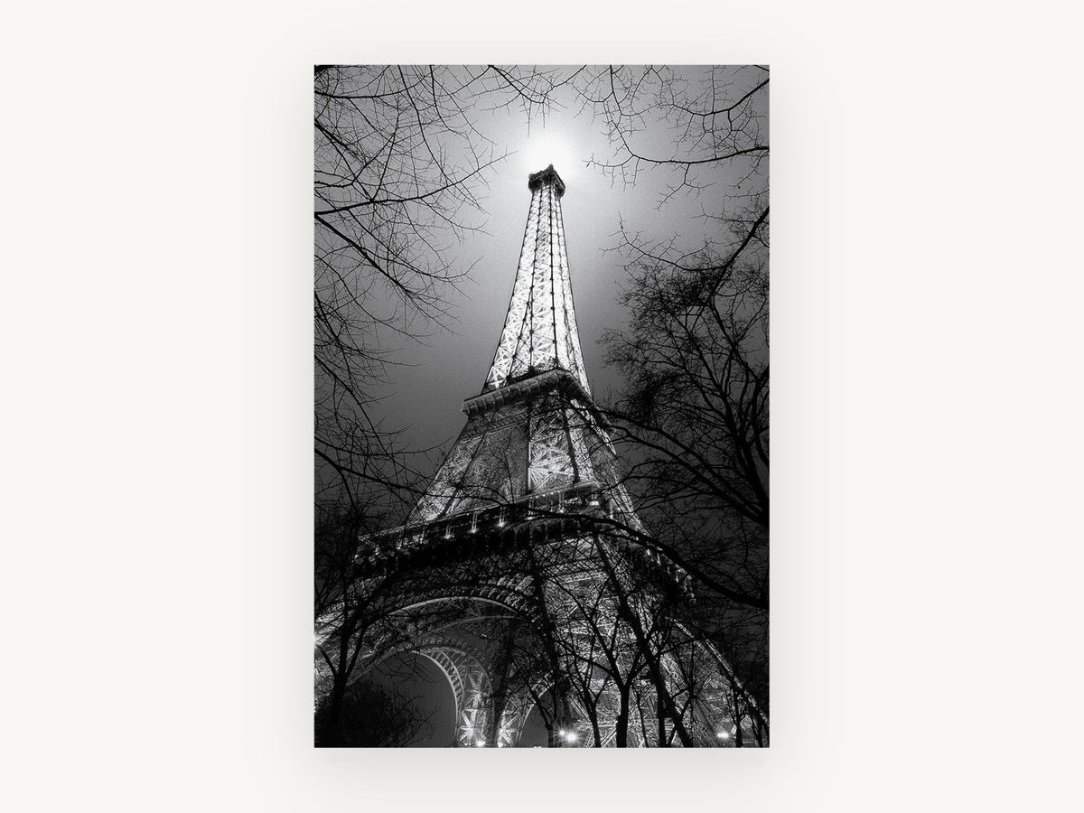 Eiffel Through Winter Branches, eiffel tower at night black and white photograph, city canvas wall art print, front view