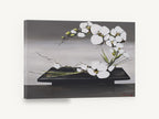 Orchid Arc on Black Tray, white orchids black tray floral painting, floral canvas wall art print ready to hang
