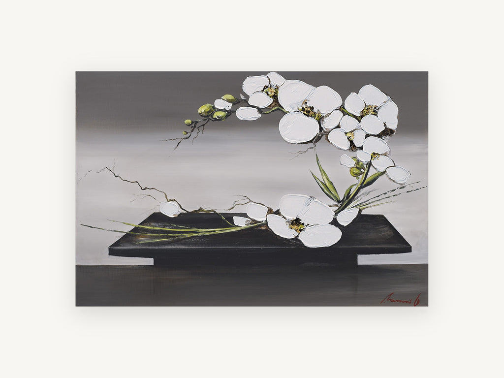 Orchid Arc on Black Tray, floral canvas wall art print, front view