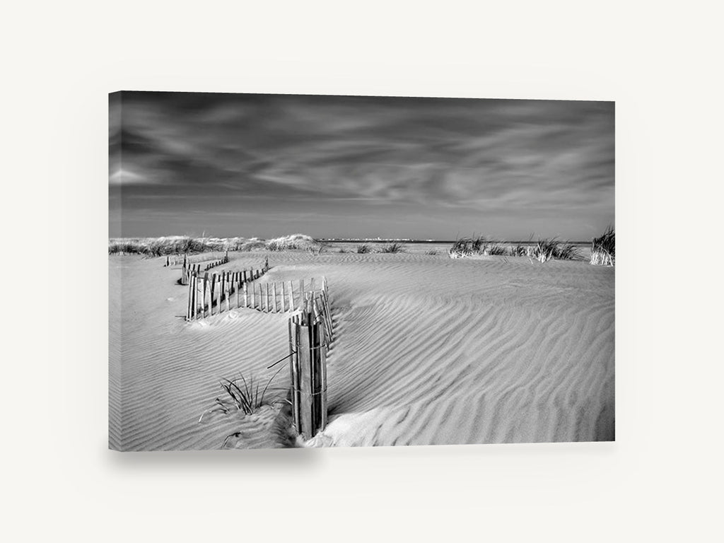 Dune Fence Drift, sand dune fence black and white, coastal canvas wall art print ready to hang