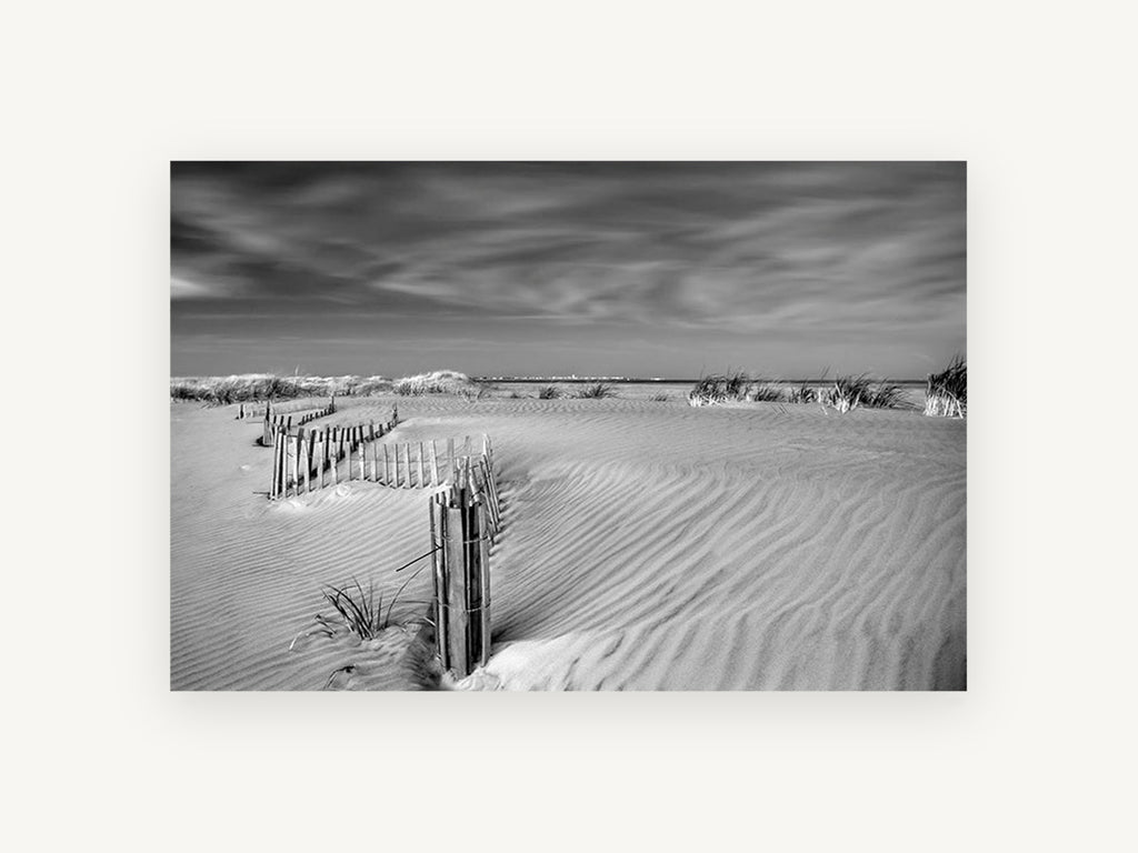Dune Fence Drift, coastal canvas wall art print, front view